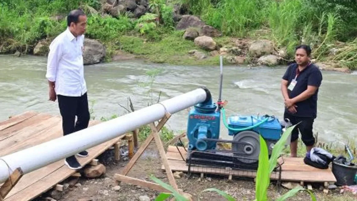 Presiden Jokowi sebut IKN akan tingkatkan permintaan produk pertanian
