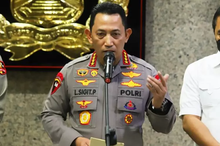 Program SPPG Ciptakan Lapangan Kerja dan Dukung Ekonomi Daerah Program SPPG Ciptakan Lapangan Kerja dan Dukung Ekonomi Daerah