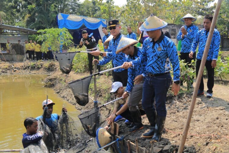 Panen Raya di SAE Lapas Lamongan, 10 Ton Padi dari Pemasyarakatan Jawa Timur Panen Raya di SAE Lapas Lamongan, 10 Ton Padi dari Pemasyarakatan Jawa Timur